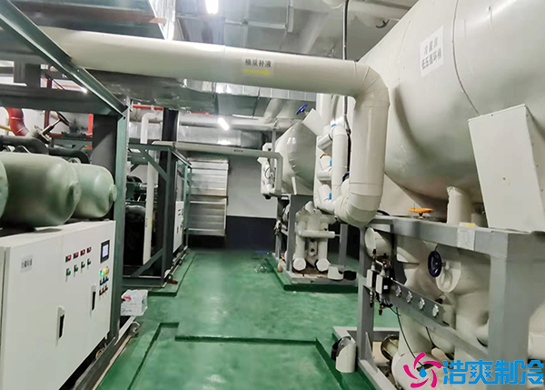 菠萝蜜在线观看