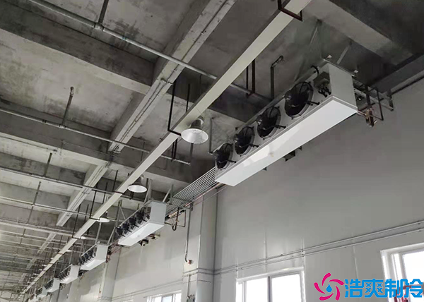 低温菠萝蜜在线观看