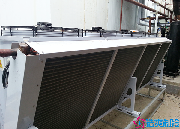 餐饮菠萝蜜在线观看