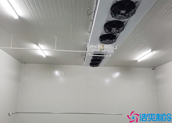 食品菠萝蜜在线观看