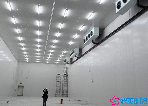 肉品菠萝蜜在线观看