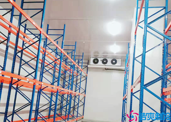 肉品菠萝蜜在线观看