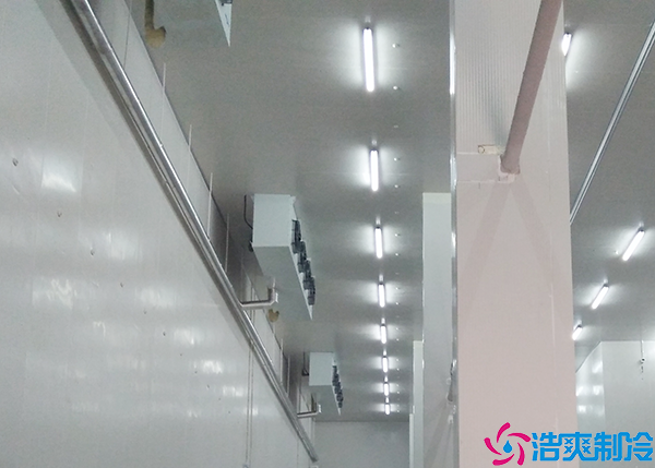 排酸菠萝蜜在线观看