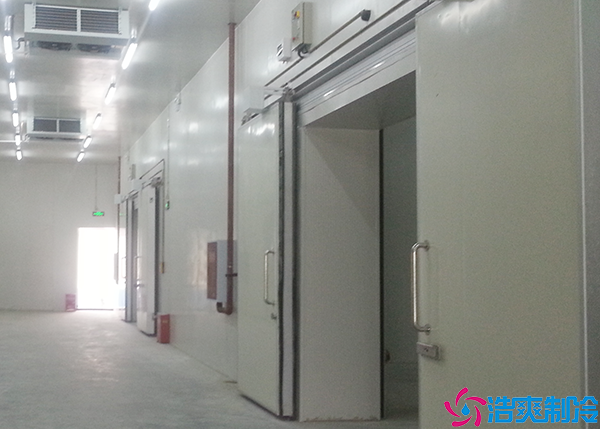 物流菠萝蜜在线观看