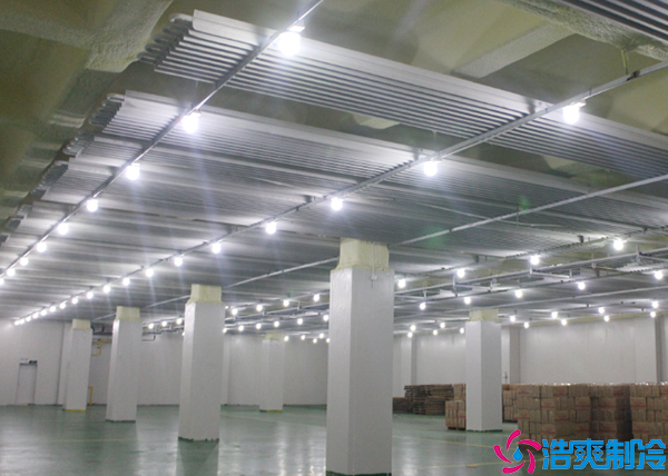 排酸菠萝蜜在线观看