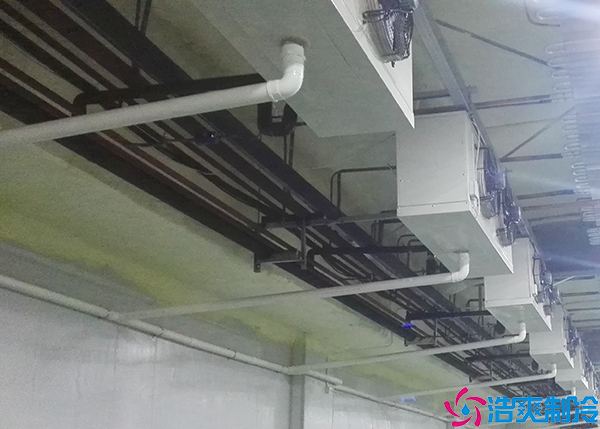 生鲜果蔬菠萝蜜在线观看