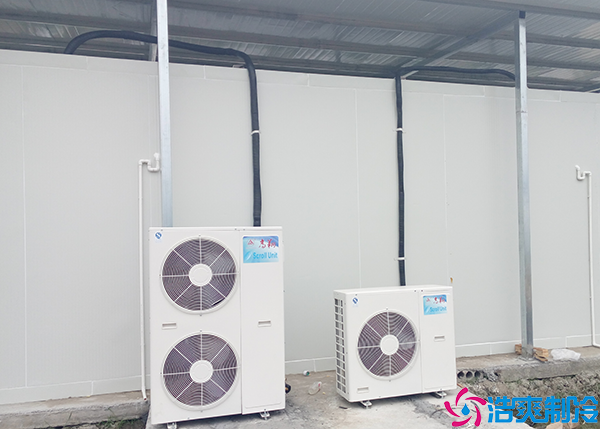 低温菠萝蜜在线观看