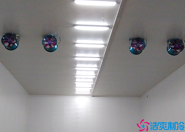 保鲜菠萝蜜在线观看