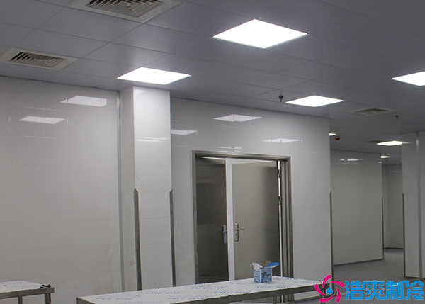 水果菠萝蜜在线观看