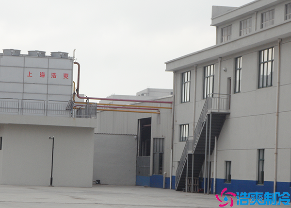 菠萝蜜在线观看