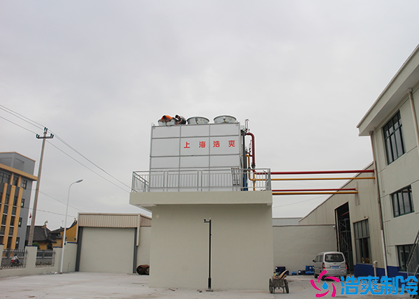 低温车间菠萝蜜在线观看