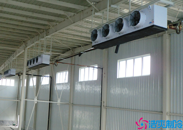 排酸速冻菠萝蜜在线观看