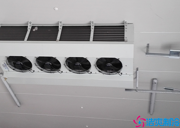 保鲜气调菠萝蜜在线观看