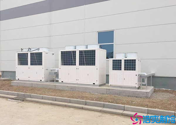 菠萝蜜在线观看