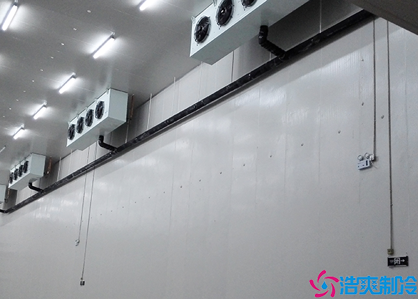 保鲜气调菠萝蜜在线观看