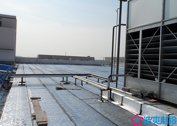 保鲜气调菠萝蜜在线观看