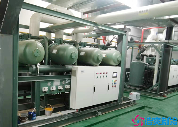 菠萝蜜在线观看