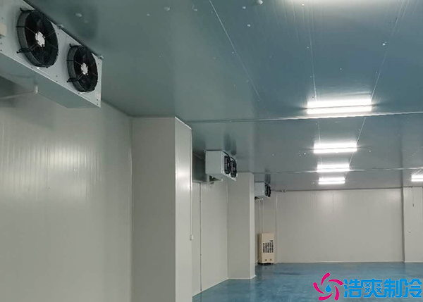 食品菠萝蜜在线观看