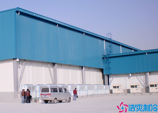 冷链食品菠萝蜜在线观看