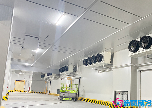 排酸速冻菠萝蜜在线观看