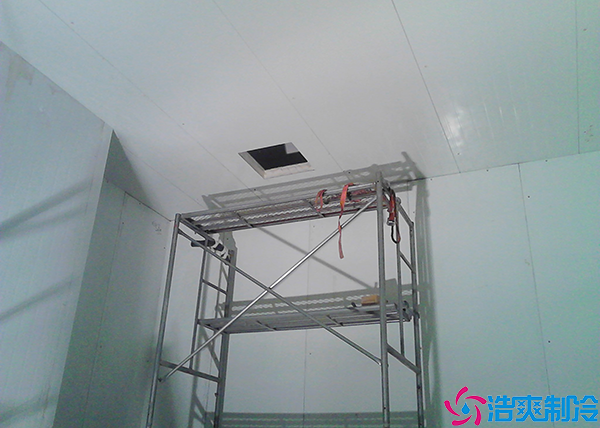 冻梨菠萝蜜在线观看