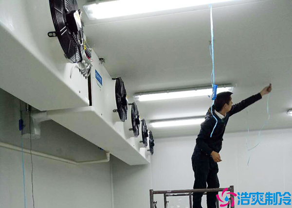 水果保鲜菠萝蜜在线观看