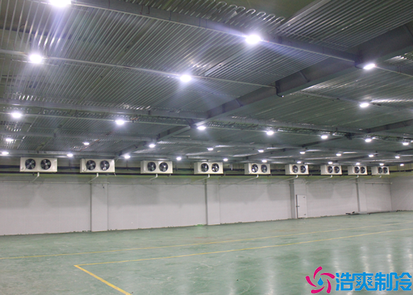 综合物流菠萝蜜在线观看