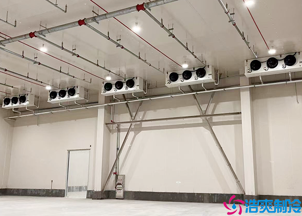 排酸速冻菠萝蜜在线观看