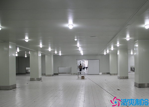 物流菠萝蜜在线观看