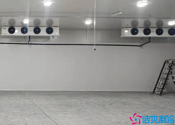 排酸速冻菠萝蜜在线观看