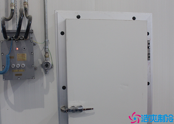 物流菠萝蜜在线观看