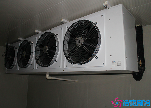 电商生鲜菠萝蜜在线观看