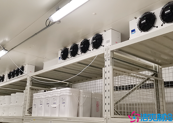 冷链物流菠萝蜜在线观看