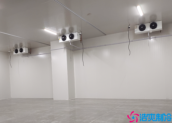 生鲜食品物流菠萝蜜在线观看