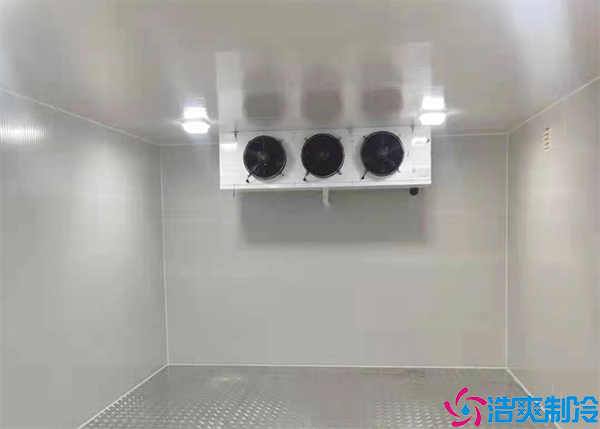 家用菠萝蜜在线观看