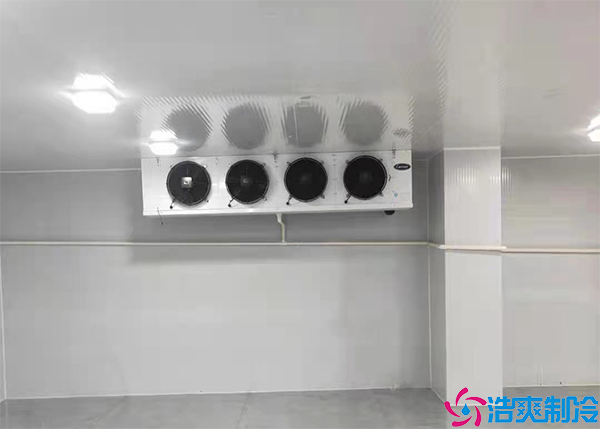 气调菠萝蜜在线观看