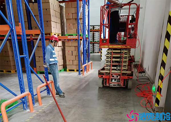 气调菠萝蜜在线观看