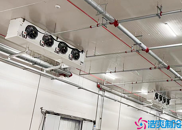 冷藏菠萝蜜在线观看