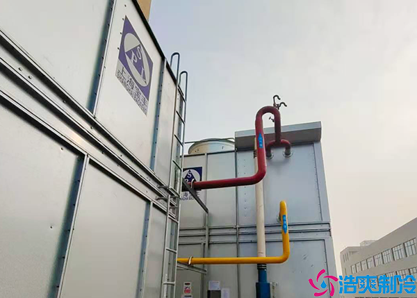 冷藏菠萝蜜在线观看