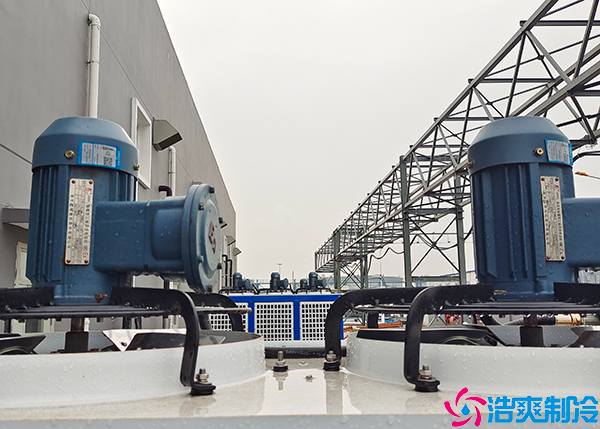 保鲜菠萝蜜在线观看