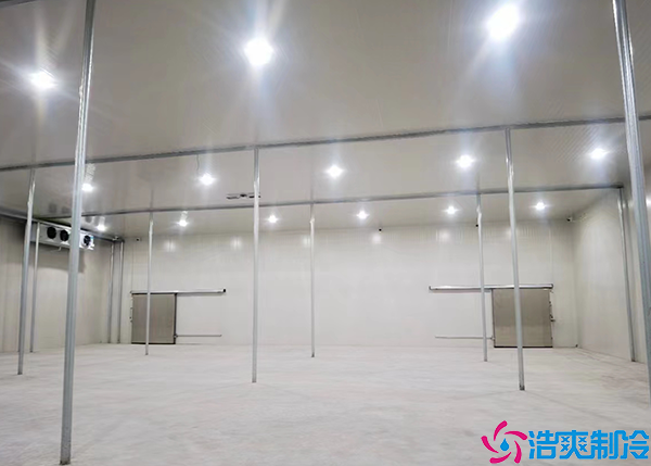 海鲜菠萝蜜在线观看