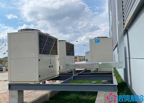 海鲜菠萝蜜在线观看