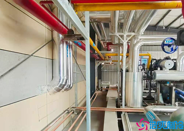 电商生鲜菠萝蜜在线观看