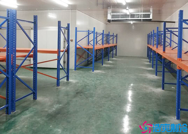 单双温菠萝蜜在线观看