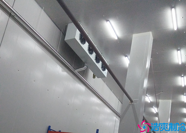 雪糕菠萝蜜在线观看