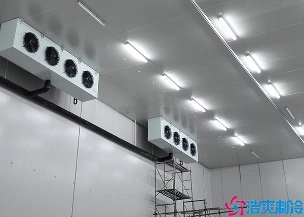 菠萝蜜在线观看设备