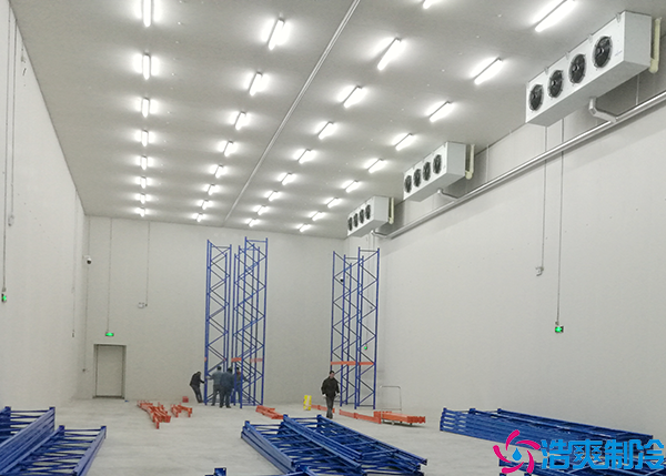 物流菠萝蜜在线观看