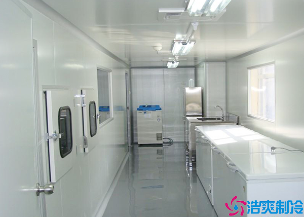 组合式菠萝蜜在线观看