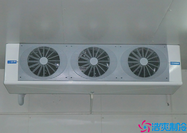 餐饮保鲜菠萝蜜在线观看