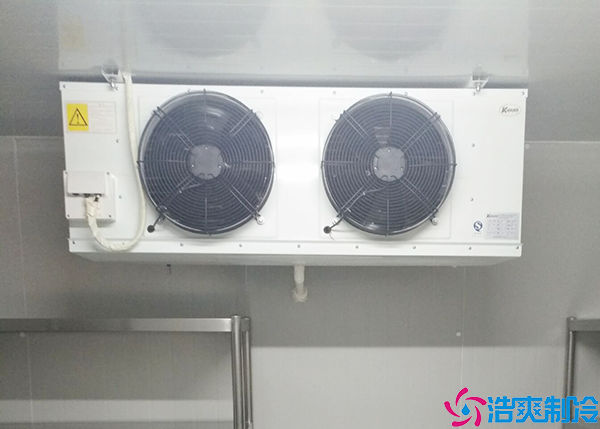 民用菠萝蜜在线观看